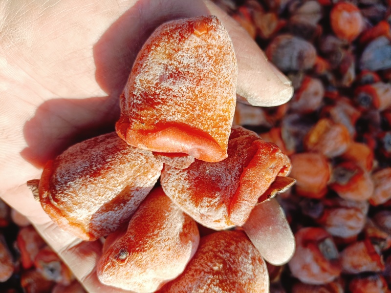 青州柿饼大量上市，霜饼