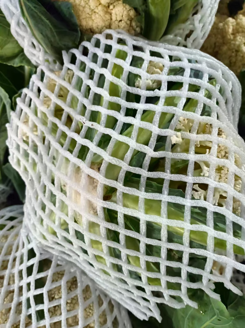 精品花菜松花菜大量有货价格美丽基地直发欢迎来电