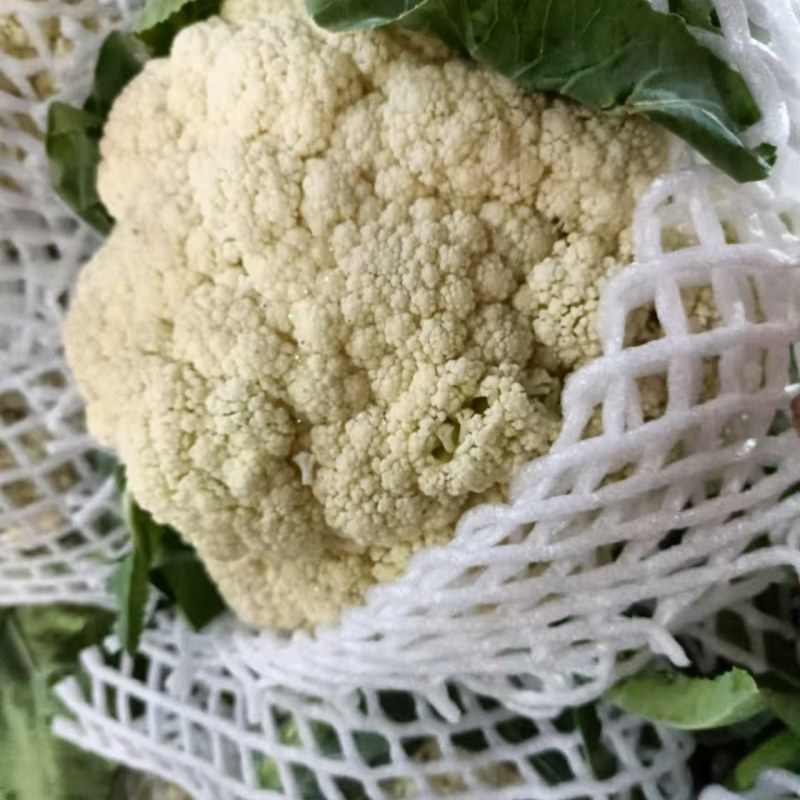 精品花菜松花菜大量有货价格美丽基地直发欢迎来电