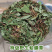 癞蛤蟆草荔枝草产地直发可视频看货整棵带根可电商可直播