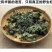 癞蛤蟆草荔枝草产地直发可视频看货整棵带根可电商可直播