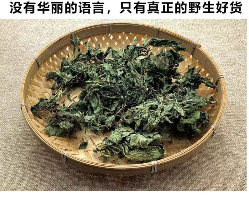 癞蛤蟆草荔枝草产地直发可视频看货整棵带根可电商可直播