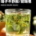 癞蛤蟆草荔枝草产地直发可视频看货整棵带根可电商可直播