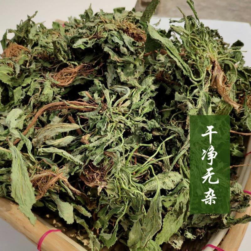 癞蛤蟆草荔枝草产地直发可视频看货整棵带根可电商可直播