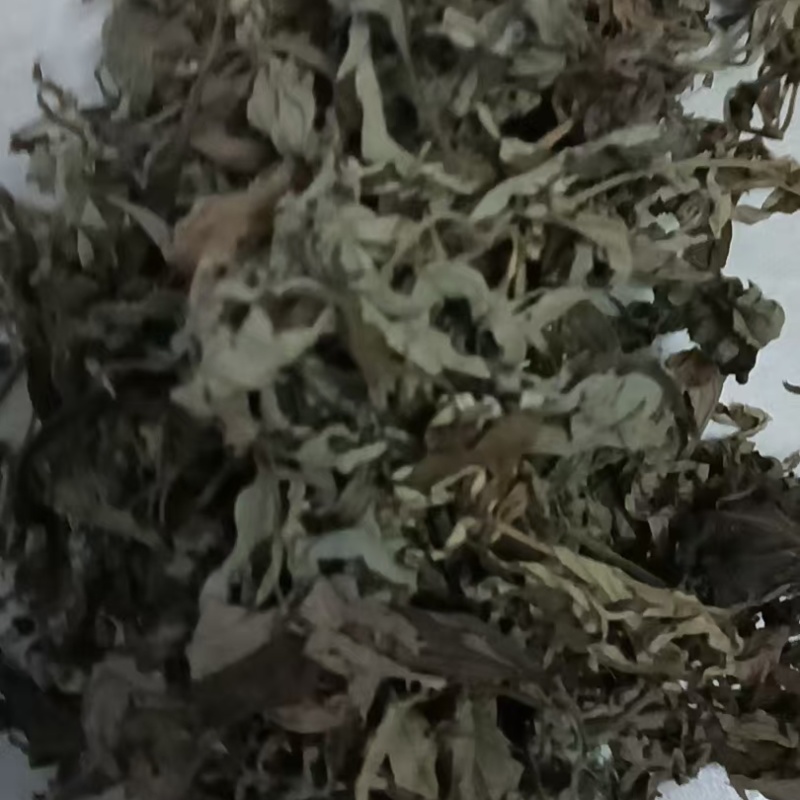 自家种植正宗蕲艾叶产地直发价格优惠
