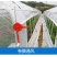 椭圆管养殖大棚骨架猪牛羊鸡鸭种植蔬菜温室保温钢管架全套连