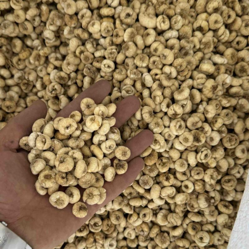 精品无硫贝母东北产地直发规格齐全大量批发