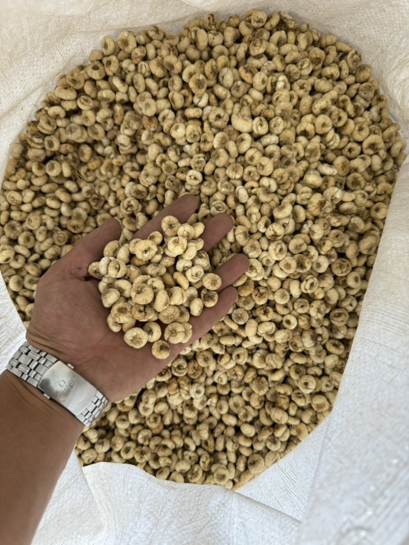 精品无硫贝母东北产地直发规格齐全大量批发
