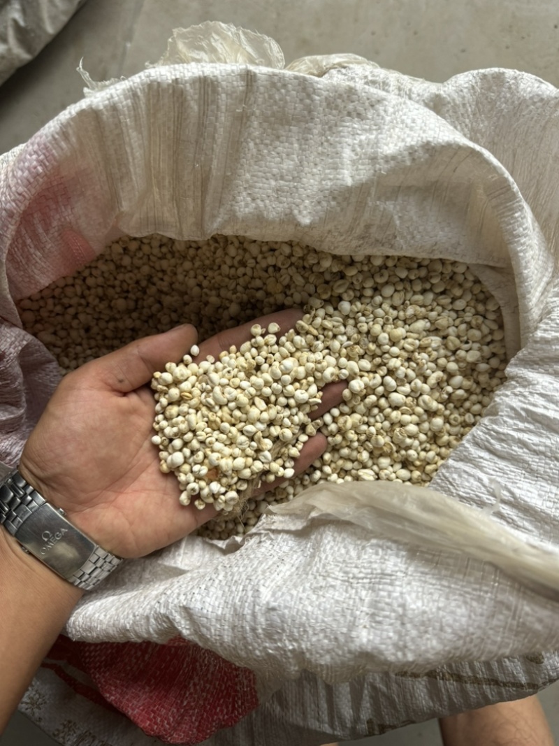 精品无硫贝母东北产地直发规格齐全大量批发