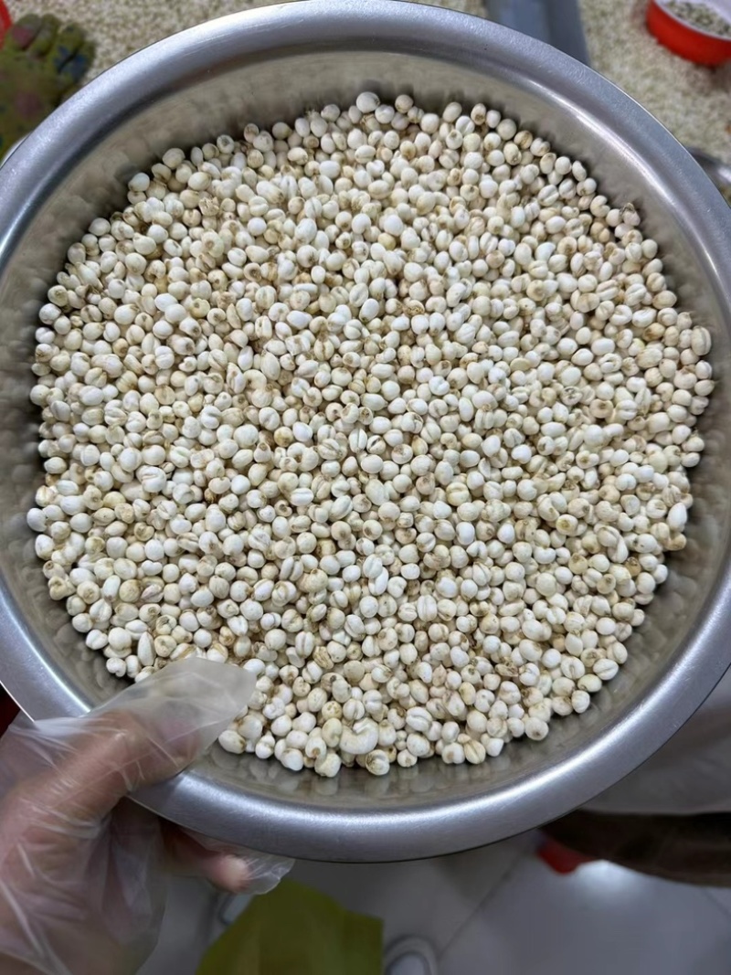 精品无硫贝母东北产地直发规格齐全大量批发