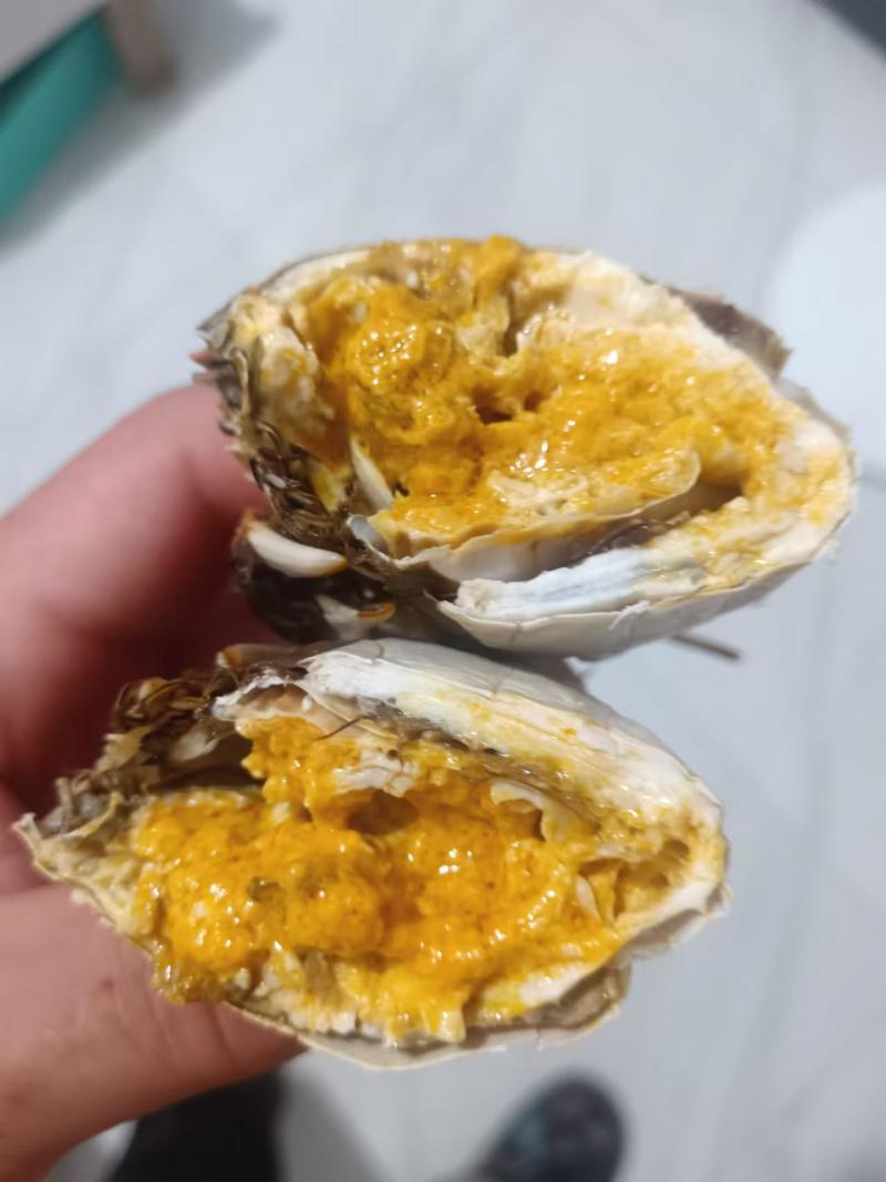 黄河水产