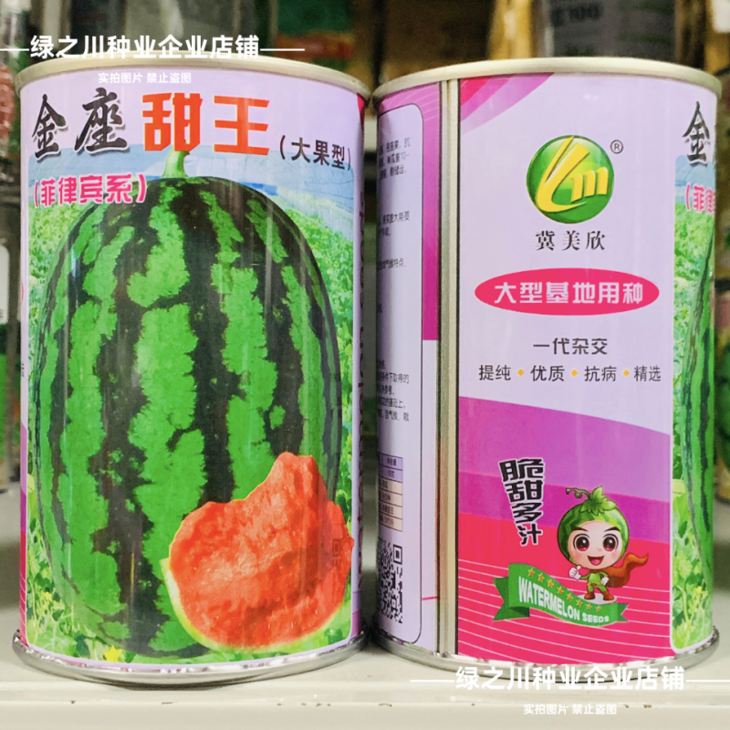 大果甜王西瓜种子脆甜少籽中熟特大号菲律宾甜王西瓜种子