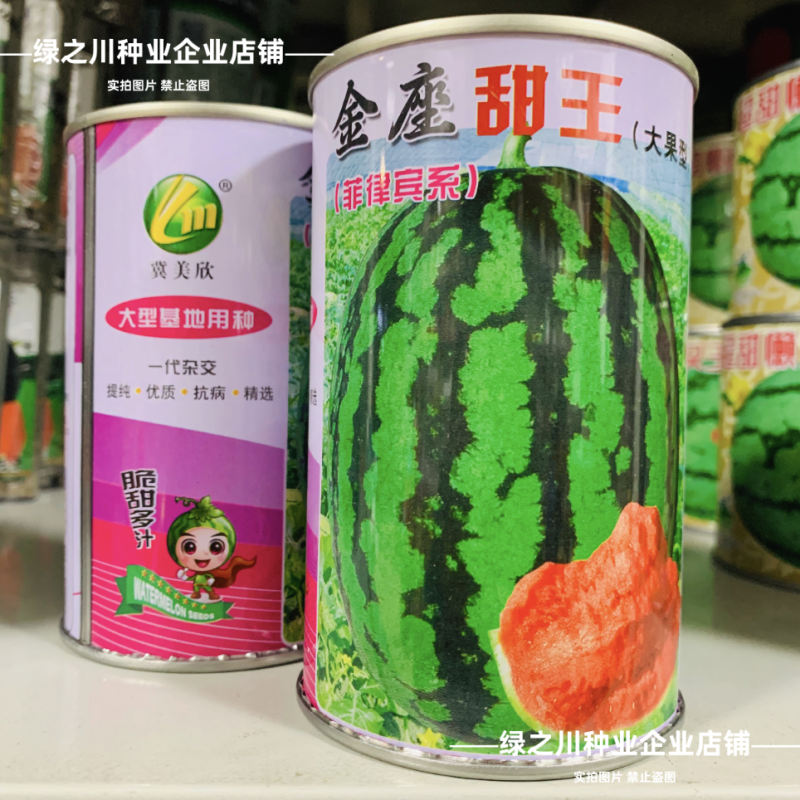 大果甜王西瓜种子脆甜少籽中熟特大号菲律宾甜王西瓜种子