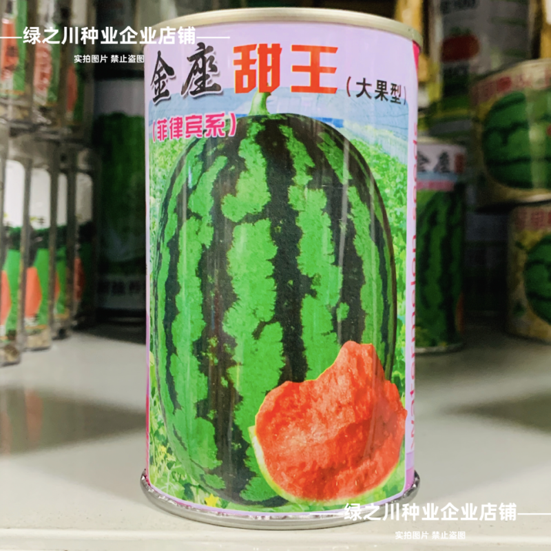 大果甜王西瓜种子脆甜少籽中熟特大号菲律宾甜王西瓜种子