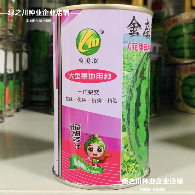 大果甜王西瓜种子脆甜少籽中熟特大号菲律宾甜王西瓜种子
