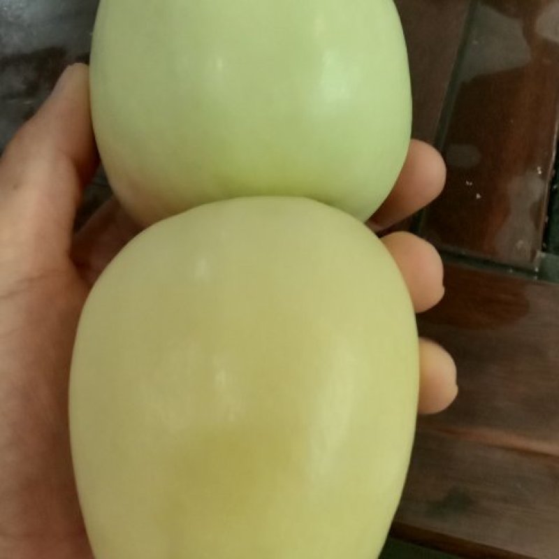 有大量新品种接穗，