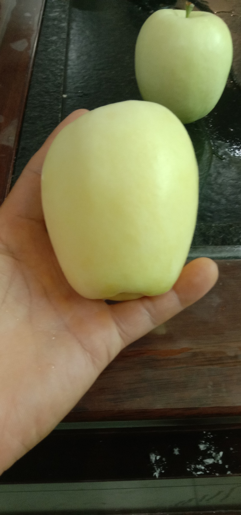 有大量新品种接穗，