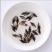 桂花鱼苗鳜鱼苗翘嘴鳜鱼苗肉食性淡水鱼苗桂鱼苗贵鱼苗养殖场