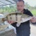 桂花鱼苗鳜鱼苗翘嘴鳜鱼苗肉食性淡水鱼苗桂鱼苗贵鱼苗养殖场