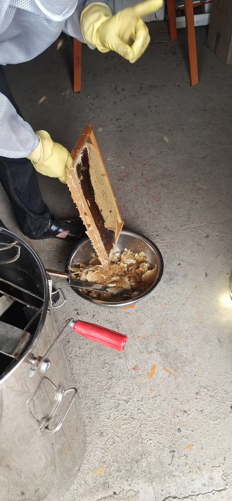 自家采的土蜂蜜无添加一手货源价格实惠全国发货