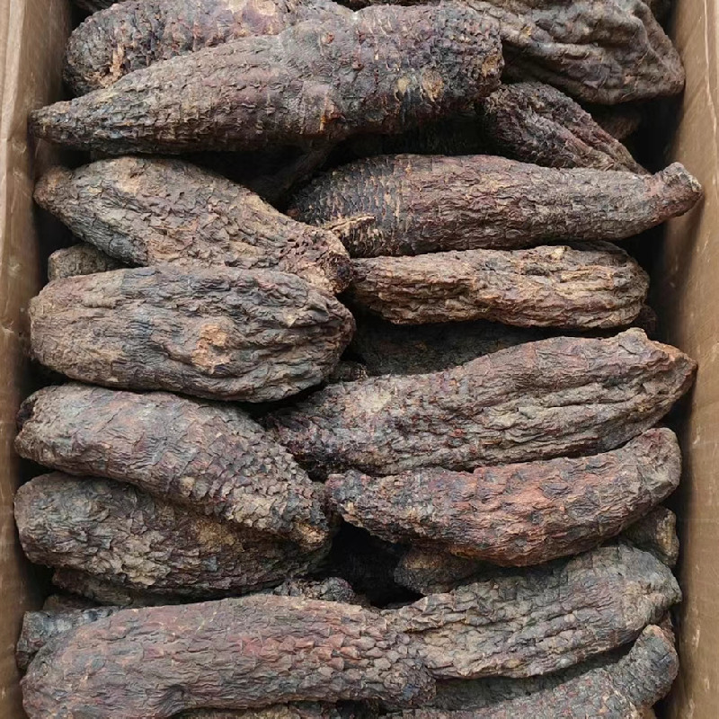 肉苁蓉新疆精品短条新货正宗滋补养生泡酒泡茶料包邮批发