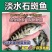 淡水石斑鱼苗优质花斑鱼淡水活体养殖亚路鱼食性强对水…要