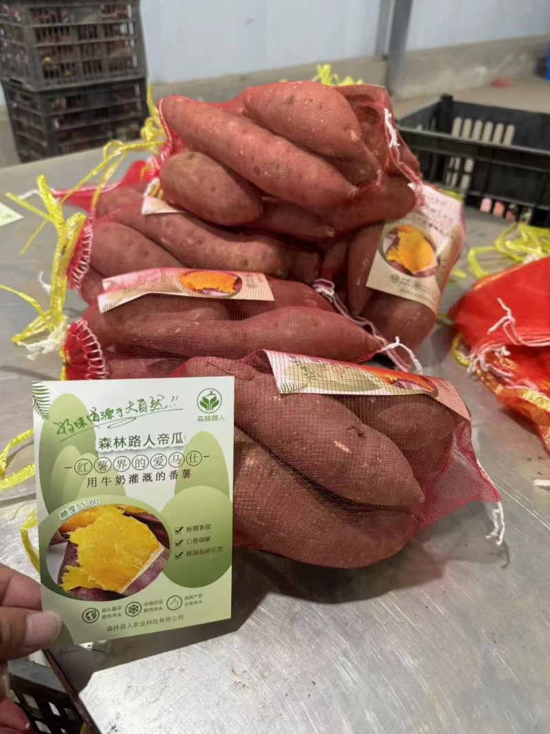 红瑶蜜薯玛莎丽蜜薯鸣门金时蜜薯丝滑蜜薯榴莲蜜薯