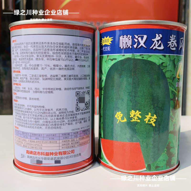 特大懒汉龙卷风西瓜种子特甜红宝西瓜种籽高抗重茬懒汉瓜种子