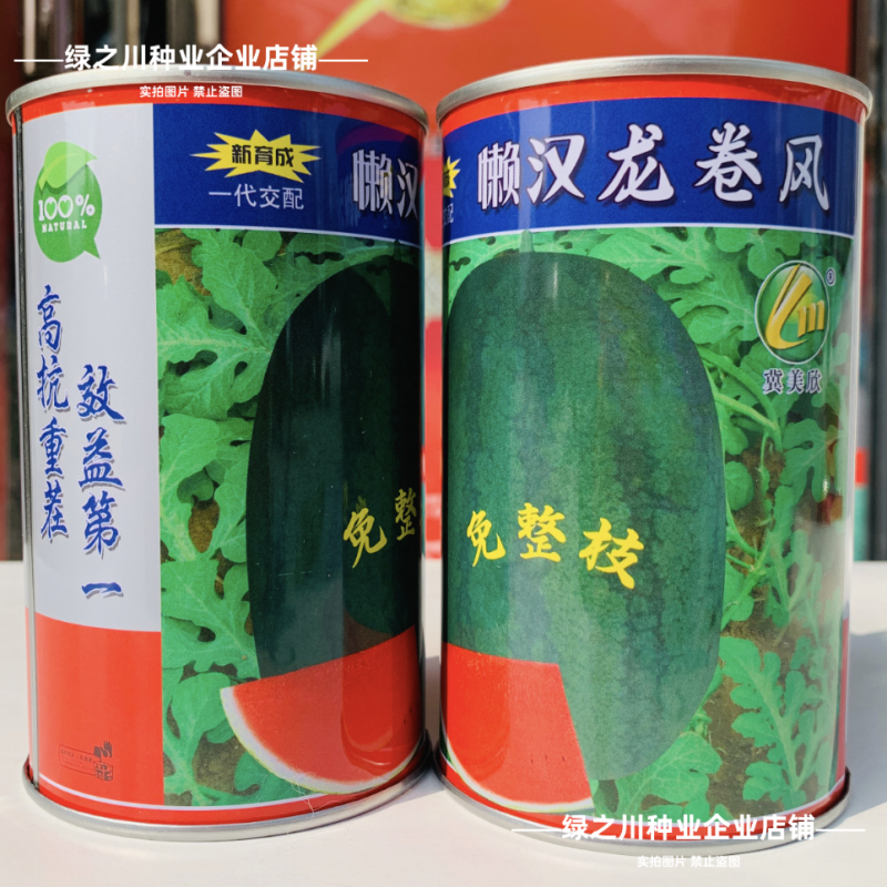 特大懒汉龙卷风西瓜种子特甜红宝西瓜种籽高抗重茬懒汉瓜种子