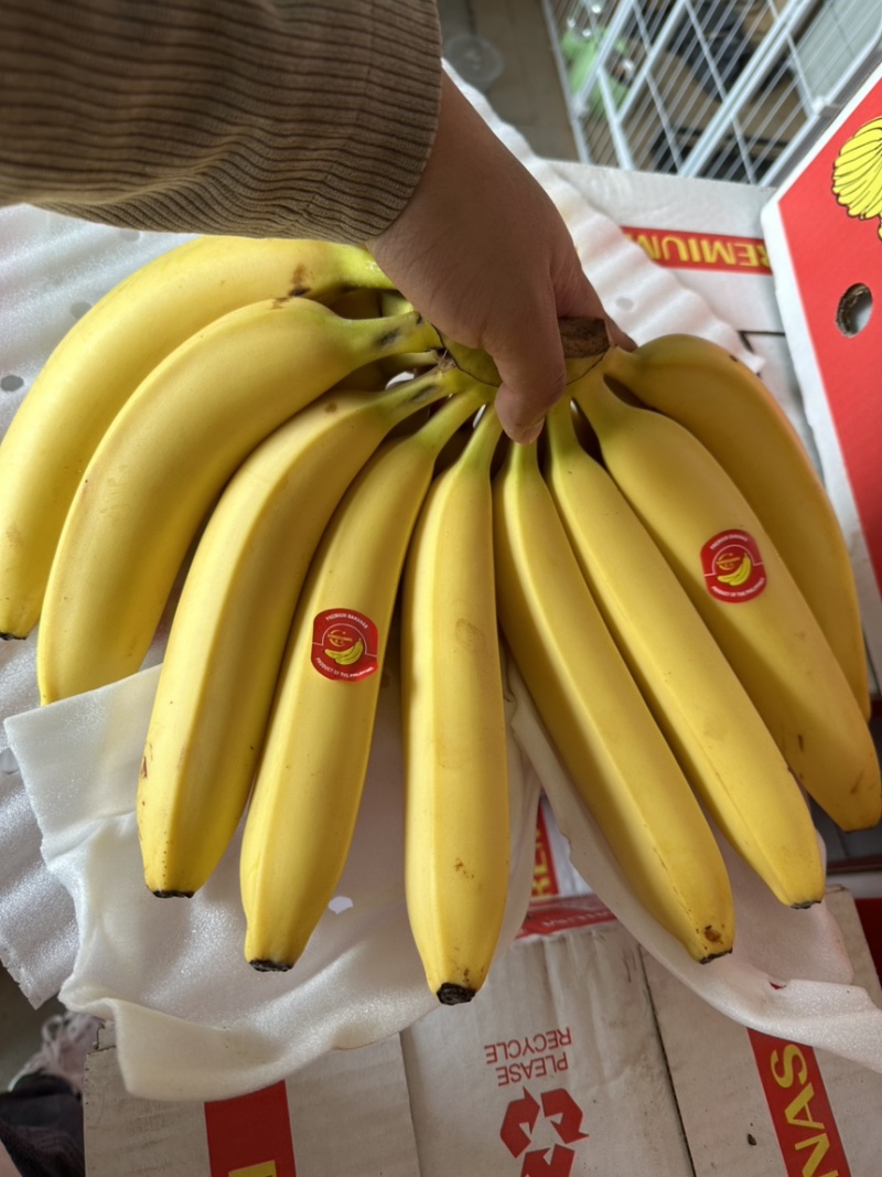 特价进口菲律宾精品香蕉，香甜软糯，保质保量，可发全国。