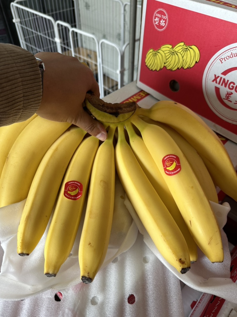 特价进口菲律宾精品香蕉，香甜软糯，保质保量，可发全国。