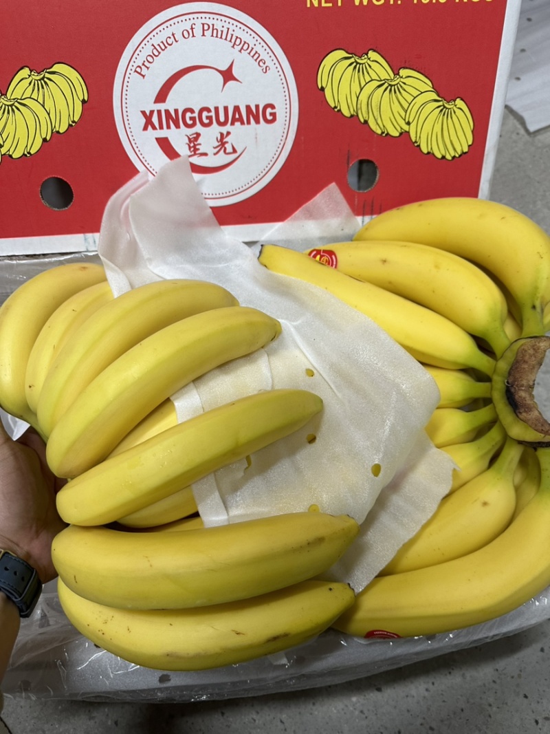 特价进口菲律宾精品香蕉，香甜软糯，保质保量，可发全国。