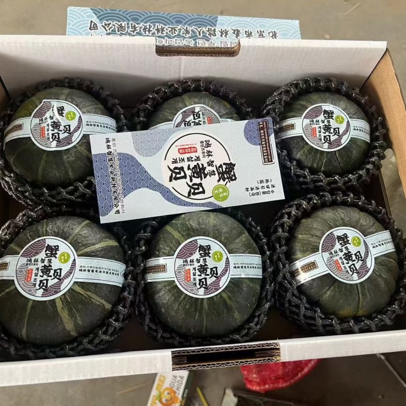 蟹黄贝贝产地一手货源规格齐全对接全国客商