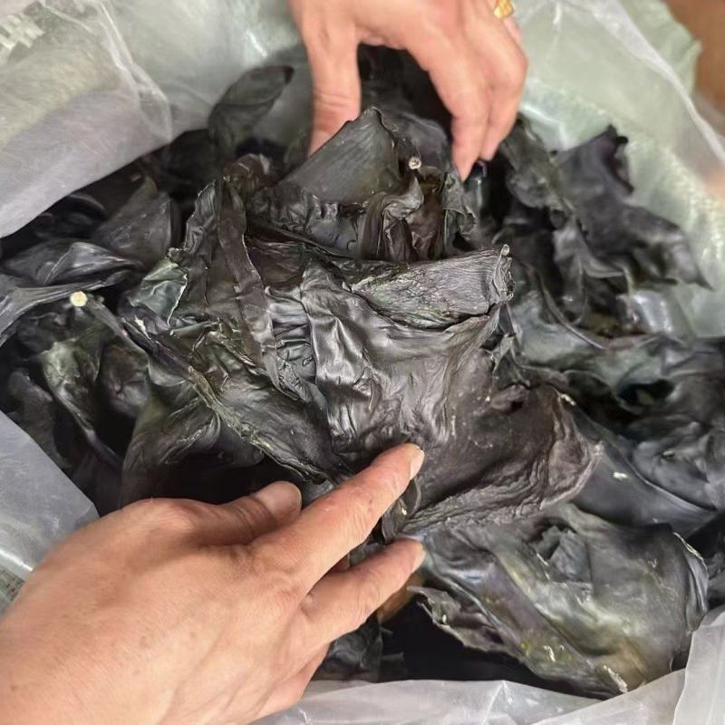 海带头烘干海带头海带干海带头长头短海带头海带小头产地发货