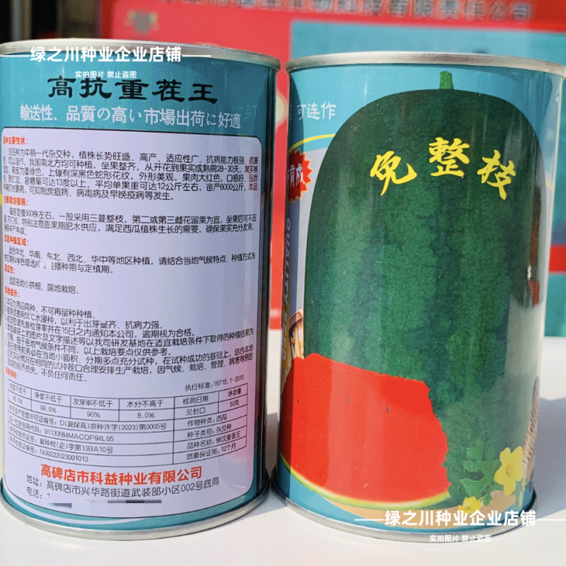 特大懒汉龙卷风西瓜种子特甜红宝西瓜种籽高抗重茬懒汉瓜种子