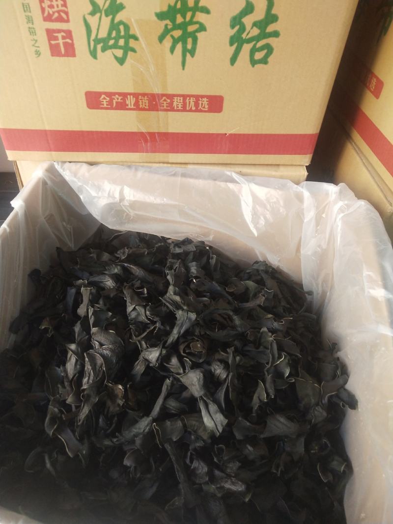 海带结海带扣烘干海带结海带干海带结海带干海带产地直接发货