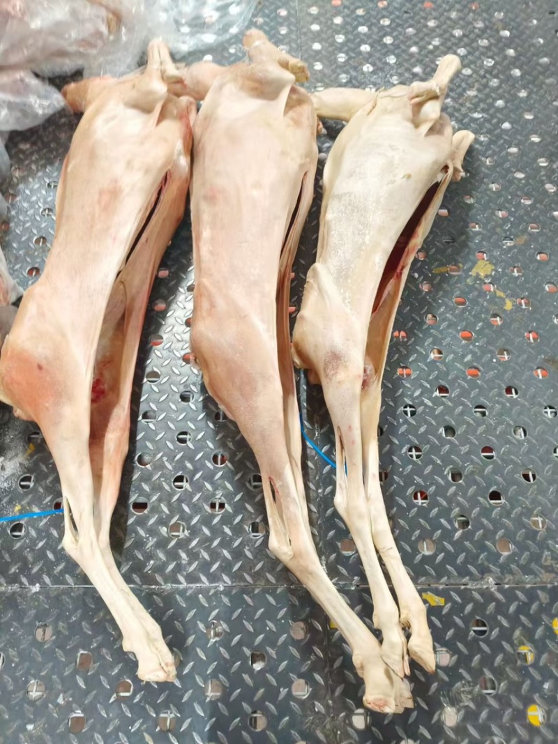 带皮全羊价格合适量大可谈