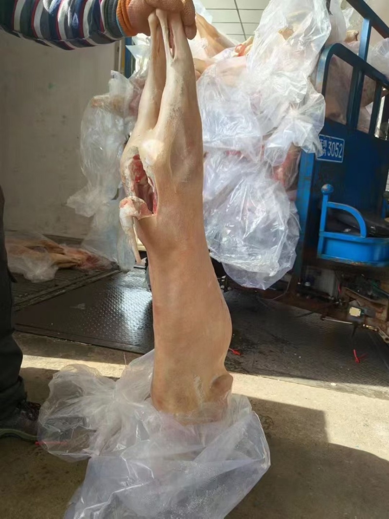 带皮全羊价格合适量大可谈