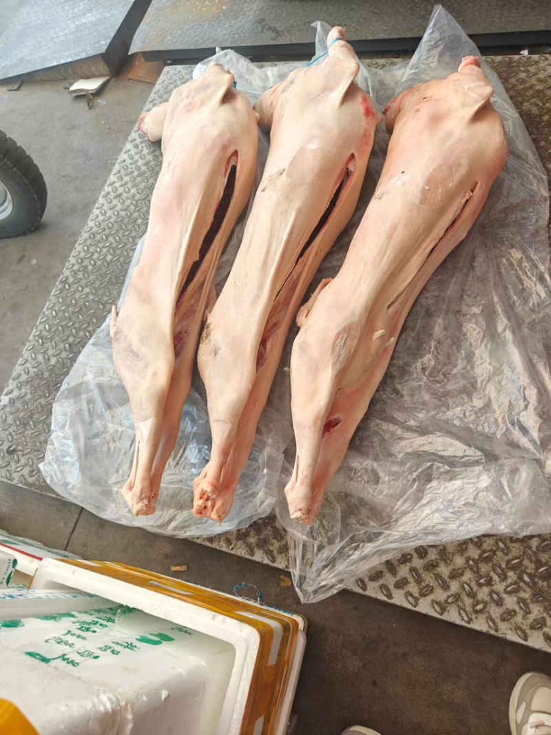 带皮全羊价格合适量大可谈