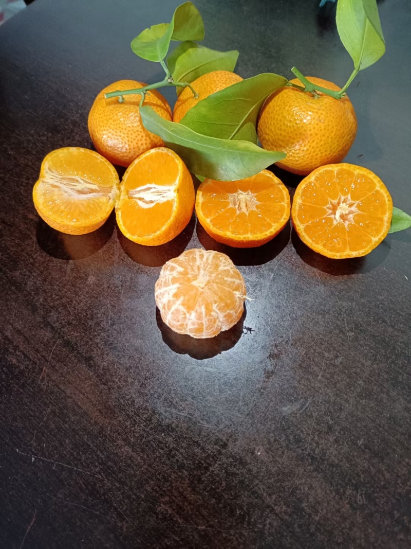 广东沙糖桔，欢迎合作对接，市场货，电商货，商超货