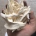 特色无硫磺淮山药片