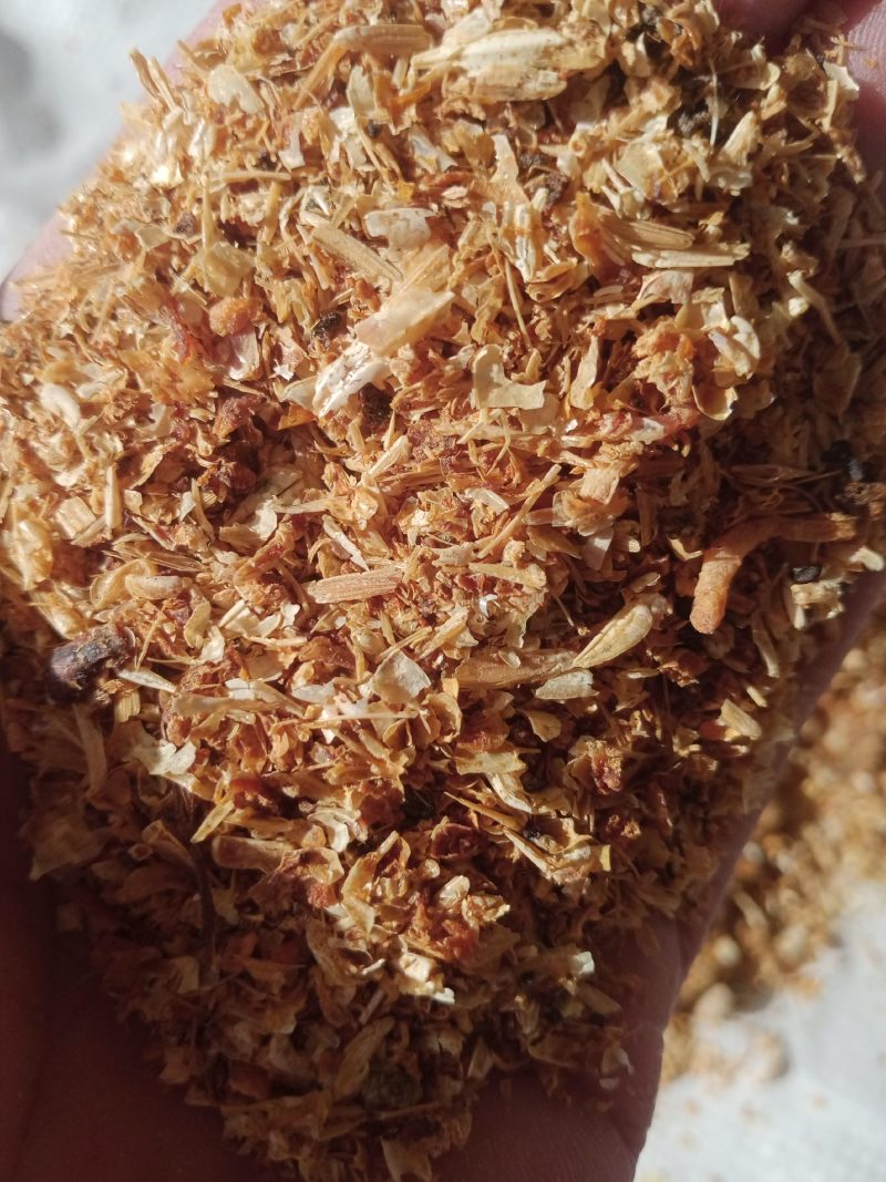 虾头整个高温水煮南美虾头饲料