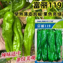 欧兰德辣椒种子富丽119薄皮椒种子大果泡椒种子条纹美观
