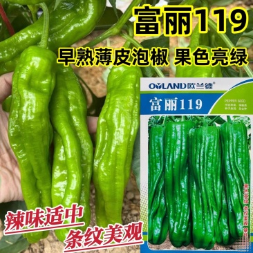 欧兰德辣椒种子富丽119薄皮椒种子大果泡椒种子条纹美观