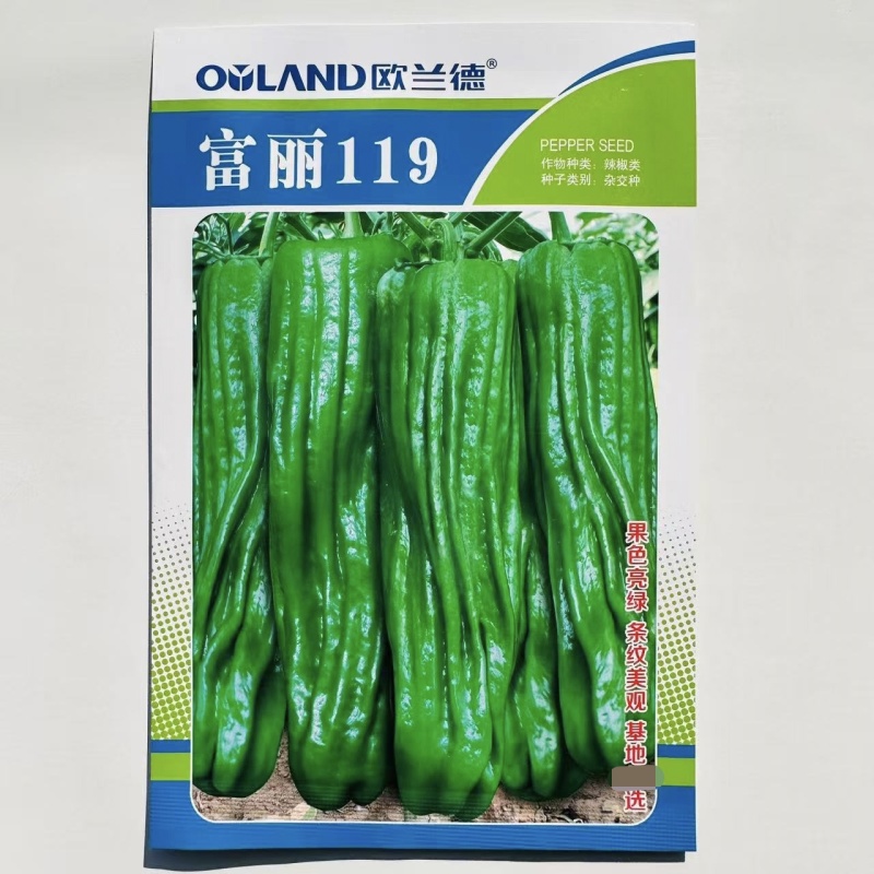 欧兰德辣椒种子富丽119薄皮椒种子大果泡椒种子条纹美观