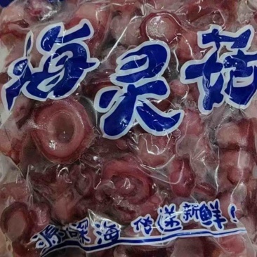 章鱼足海灵菇海鲜水产章鱼吸盘