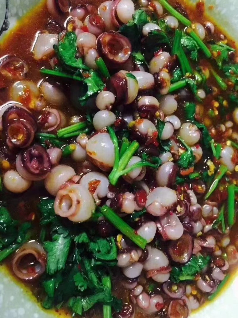 章鱼足海灵菇海鲜水产章鱼吸盘