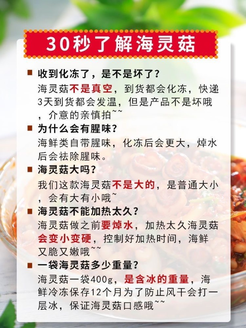 章鱼足海灵菇海鲜水产章鱼吸盘