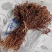 蕨菜（干制品）