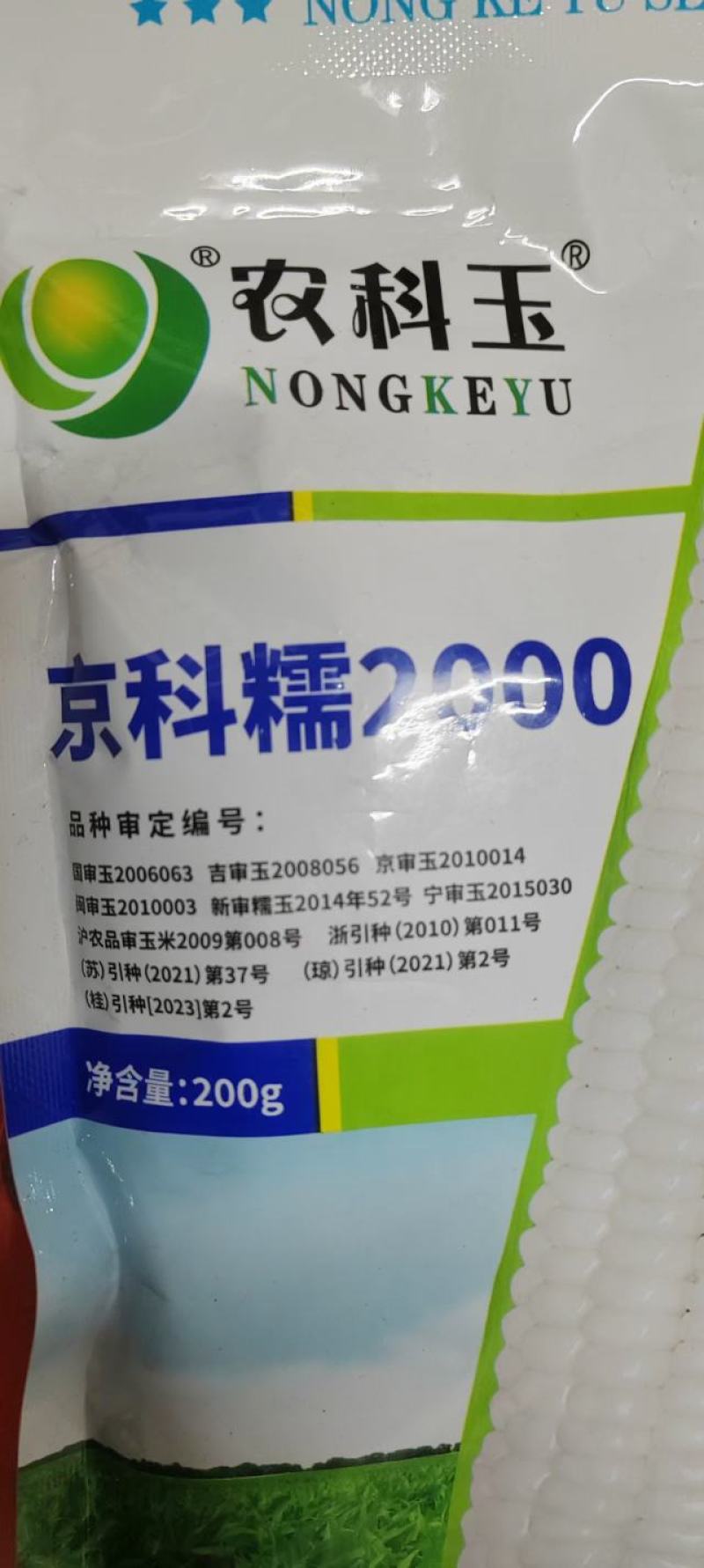 糯玉米种子，京科糯2000，白玉米，甜玉米，